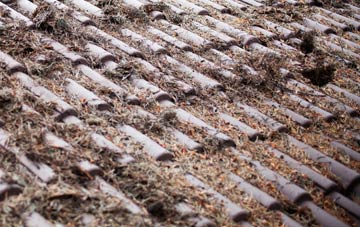 Blaengwynfi roof cleaning companies