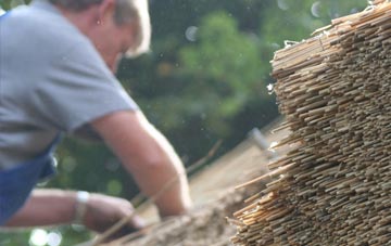 professional Blaengwynfi thatchers